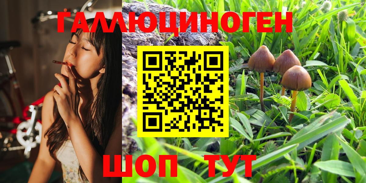 Псилоцибиновые грибы Magic Shrooms  Вход с VPN  Псилоцибиновые грибы Magic Shrooms  Гулькевичи 