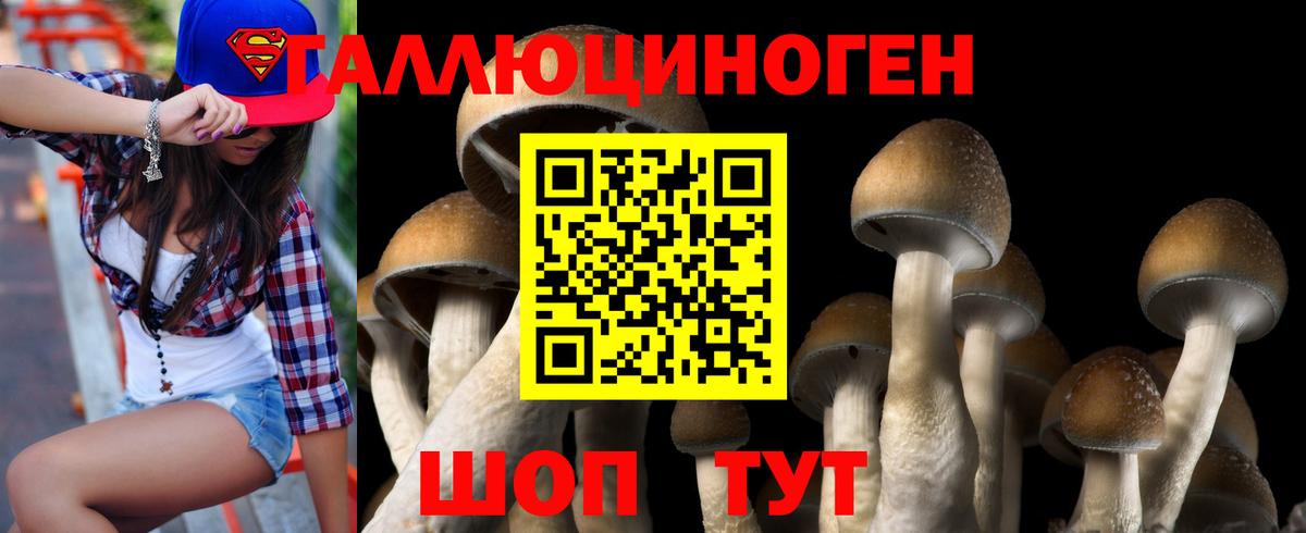 Галлюциногенные грибы Cubensis Гулькевичи